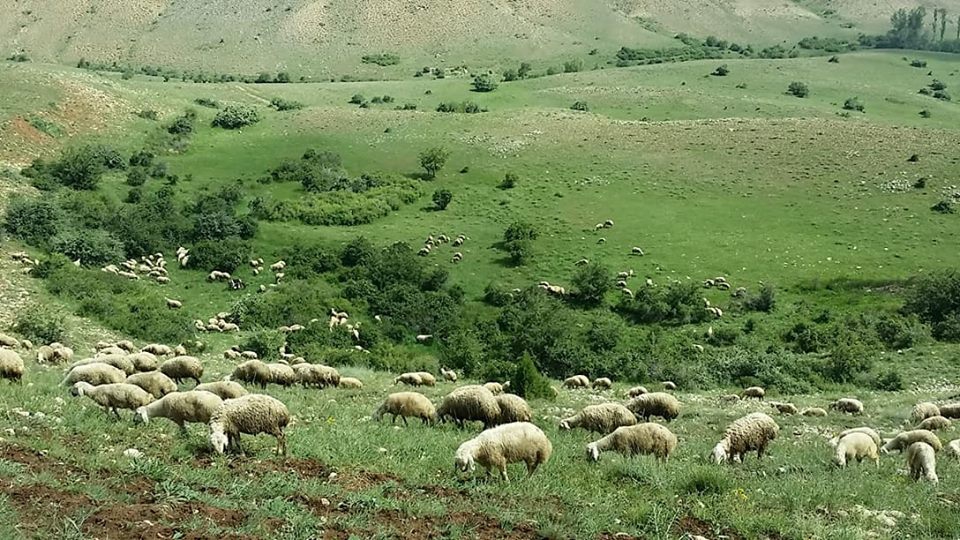 Gürün Dürmepınar Köyü Resimleri 14