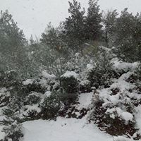 Çal Denizler Köyü Resimleri 10