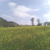 Çal Denizler Köyü Resimleri 6