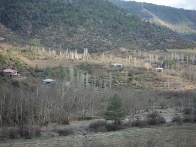 Adana Saimbeyli Gürleşen Köyü Resimleri 11