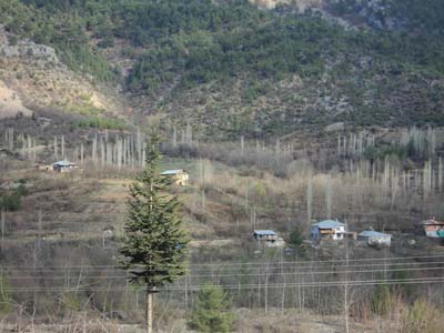 Adana Saimbeyli Gürleşen Köyü Resimleri 8