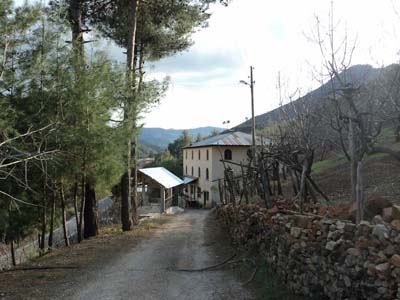 Adana Saimbeyli Gürleşen Köyü Resimleri 9