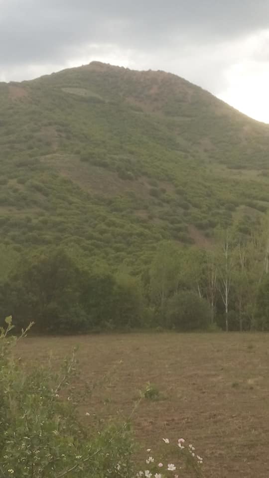 Üzümlü Bulanık Köyü Resimleri 10