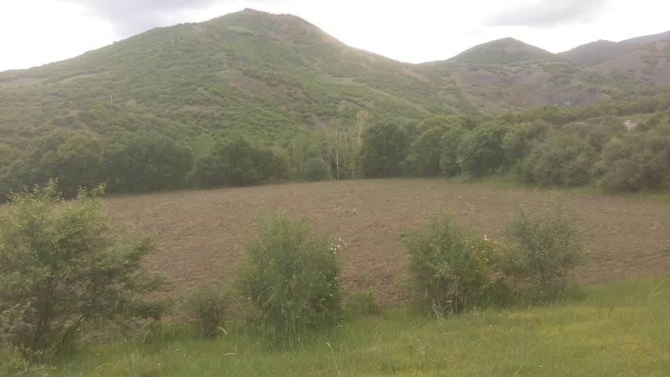 Üzümlü Bulanık Köyü Resimleri 12