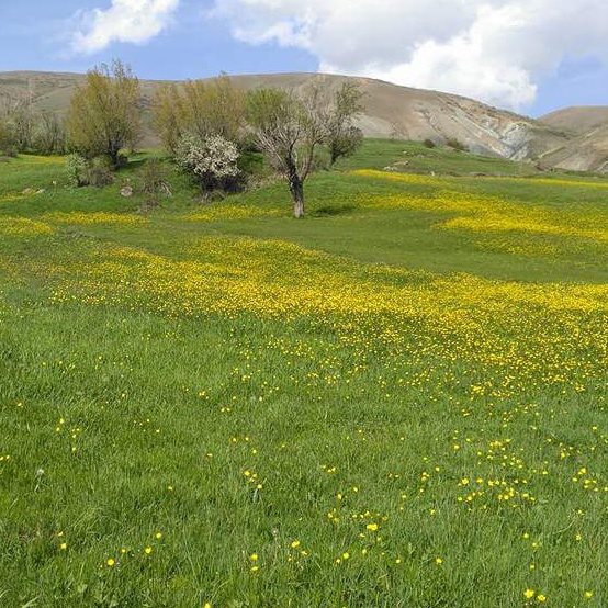 Üzümlü Büyükköy Köyü Resimleri 1