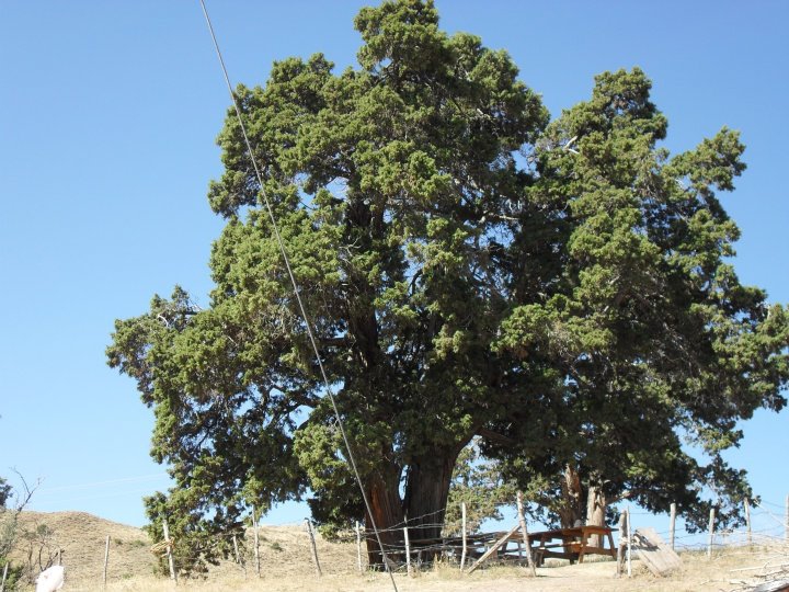 Üzümlü Büyükköy Köyü Resimleri 5