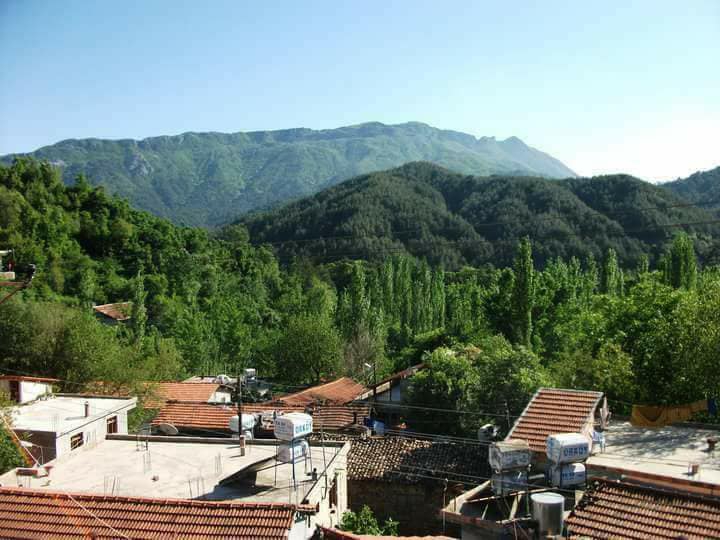 Samandağ Büyükoba Köyü Resimleri 6