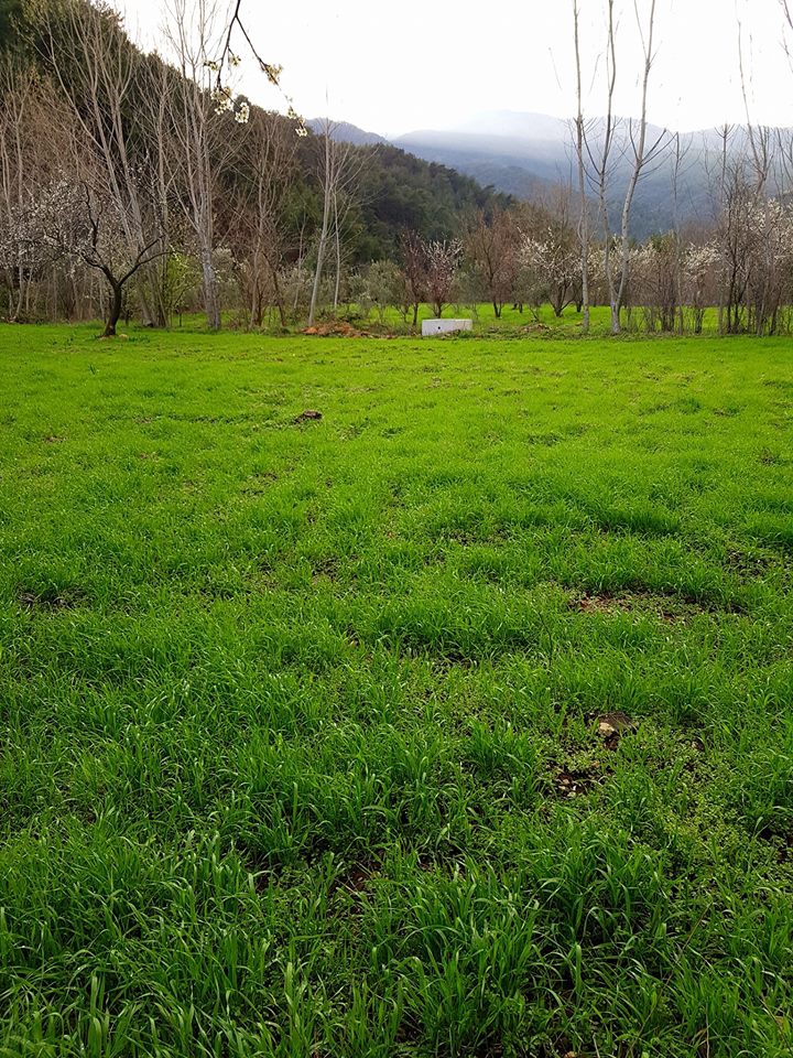 Samandağ Büyükoba Köyü Resimleri 9