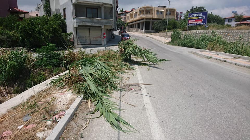 Samandağ Cemalgürsel Köyü Resimleri 1