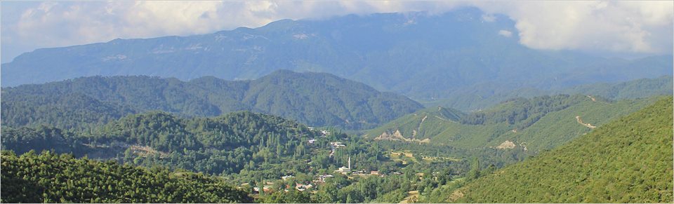 Samandağ Ceylandere Köyü Resimleri 3