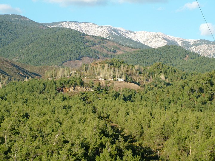 Samandağ Çamlıyayla Köyü Resimleri 2