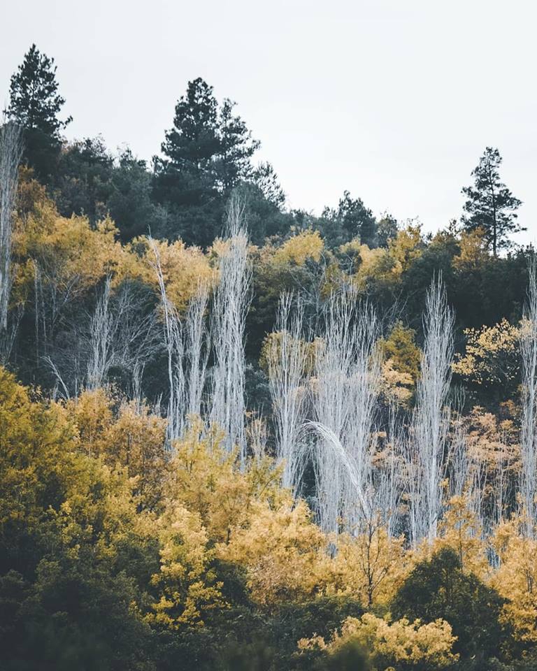 Samandağ Çamlıyayla Köyü Resimleri 4