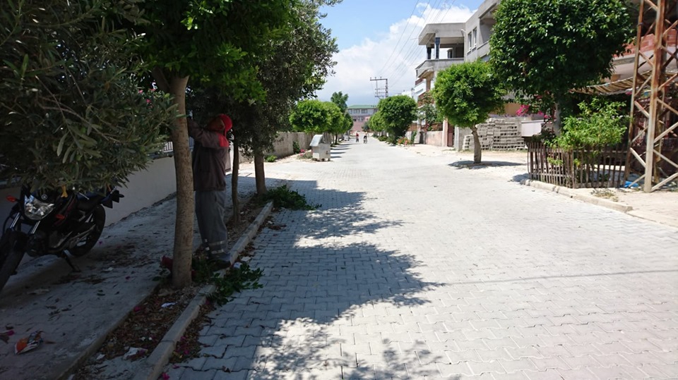 Samandağ Çiğdere Köyü Resimleri 10