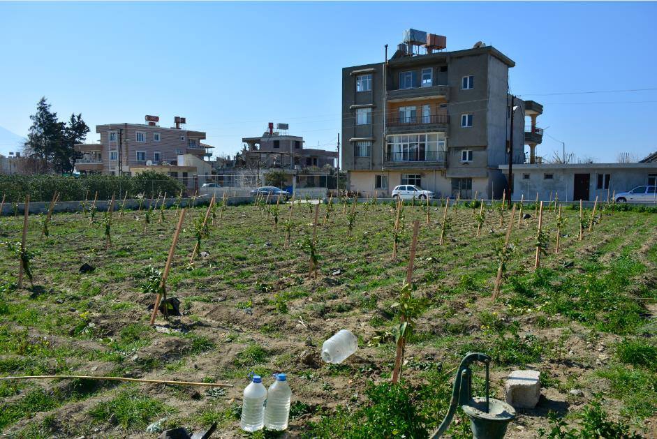 Samandağ Çiğdere Köyü Resimleri 4