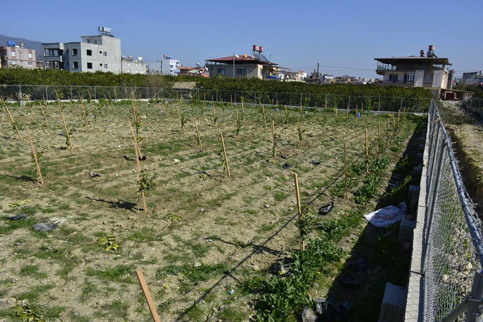 Samandağ Çiğdere Köyü Resimleri 5