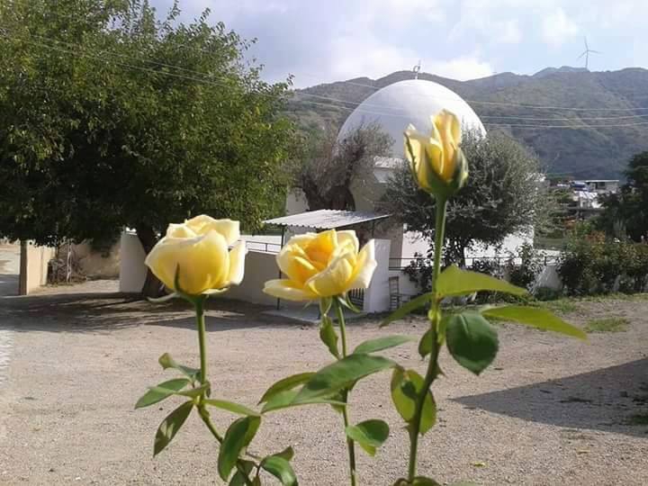 Samandağ Çöğürlü Köyü Resimleri 2