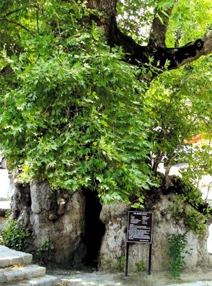 Samandağ Hıdırbey Köyü Resimleri 2