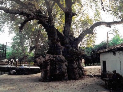 Samandağ Hıdırbey Köyü Resimleri 4
