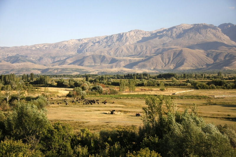 Üzümlü Denizdamı Köyü Resimleri 1