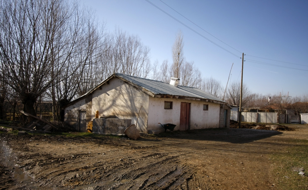 Üzümlü Denizdamı Köyü Resimleri 23