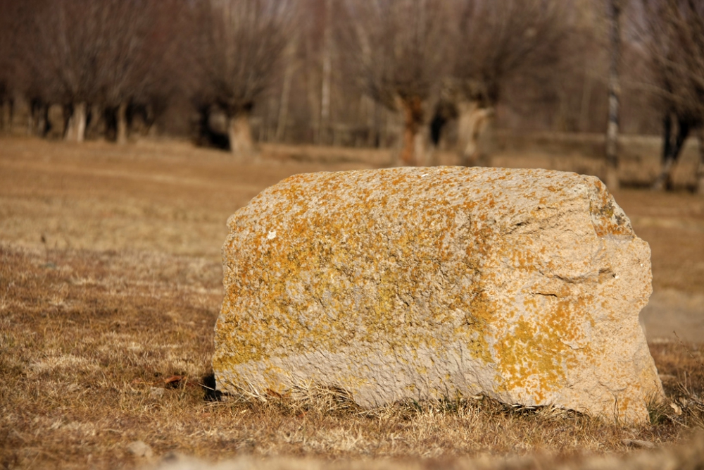 Üzümlü Denizdamı Köyü Resimleri 28