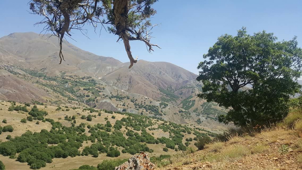 Üzümlü Ocakbaşı Köyü Resimleri 10