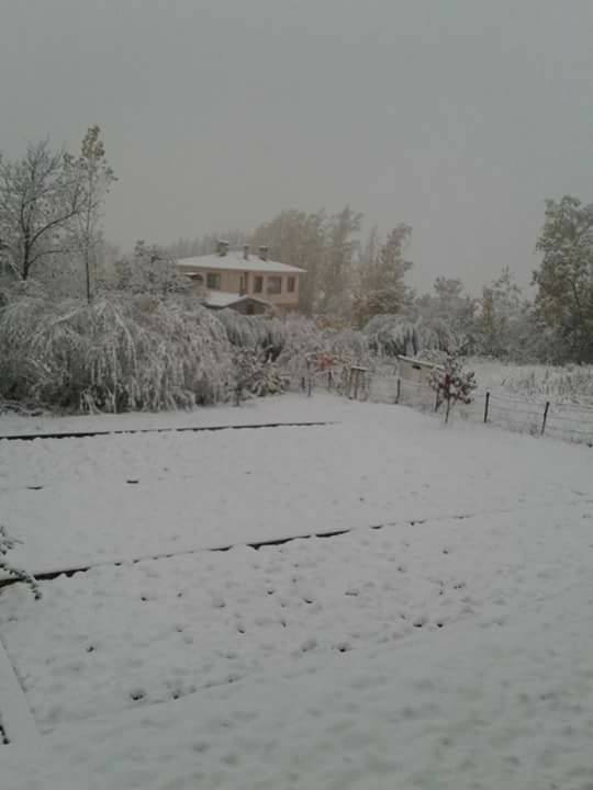 Üzümlü Ocakbaşı Köyü Resimleri 3