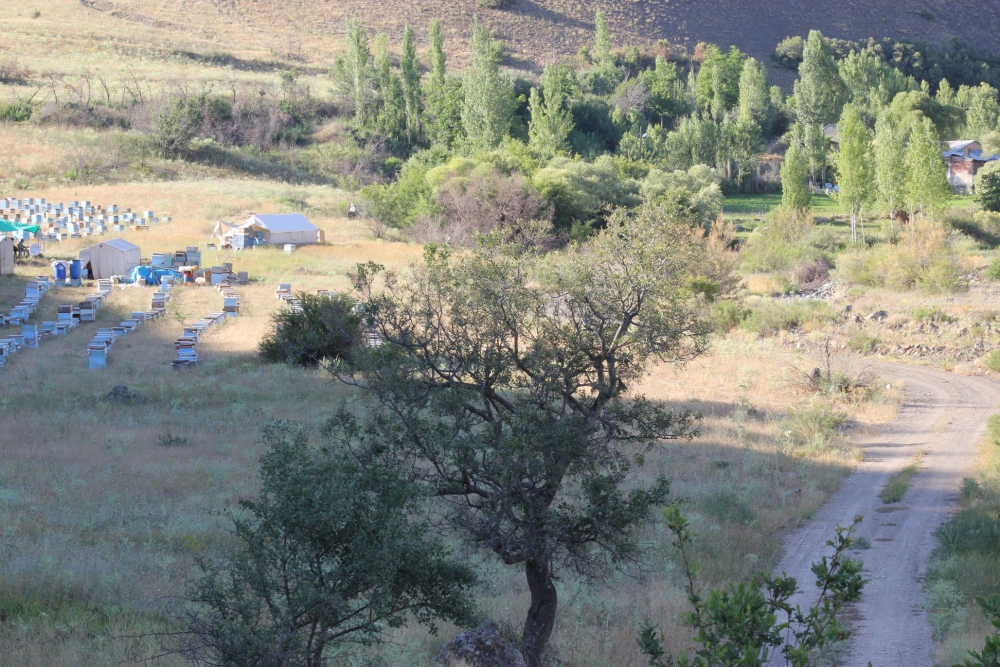 Üzümlü Pelitli Köyü Resimleri 4