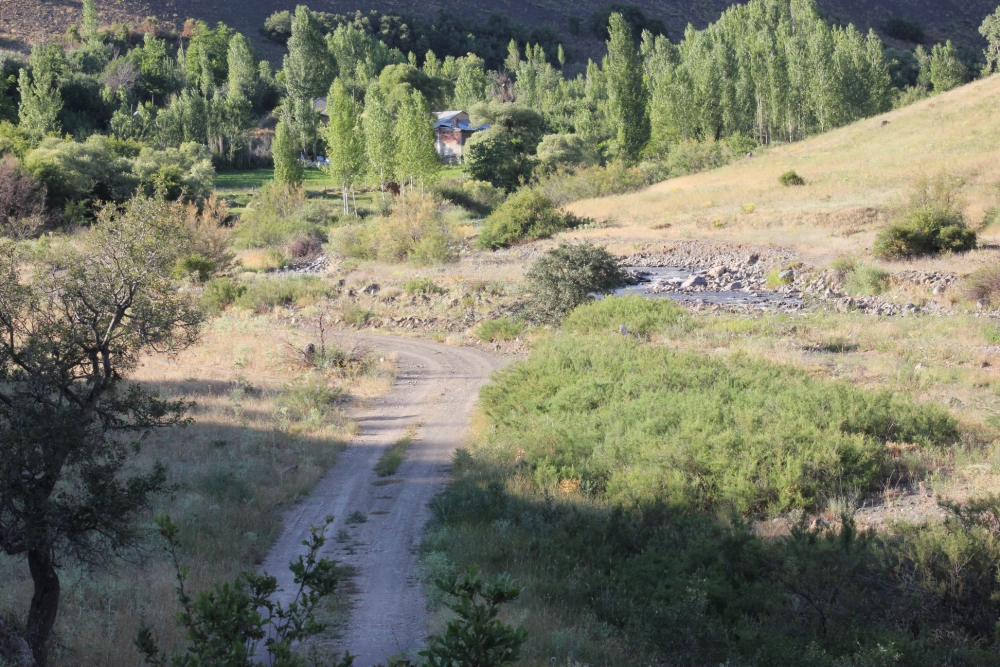 Üzümlü Pelitli Köyü Resimleri 6