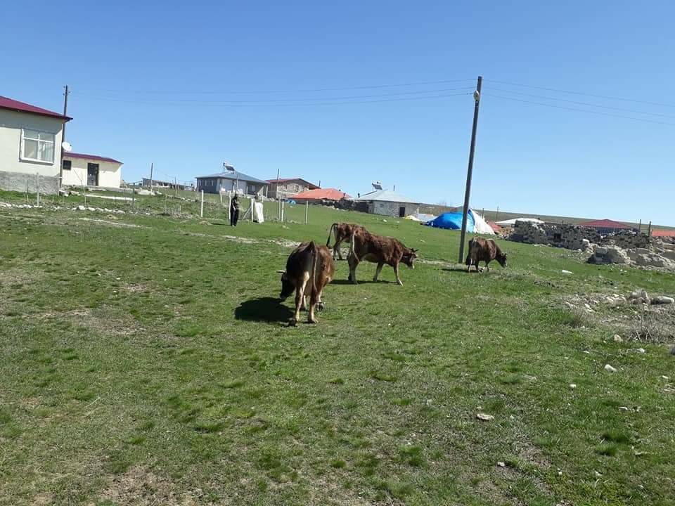 Gürün Güldede Köyü Resimleri 8
