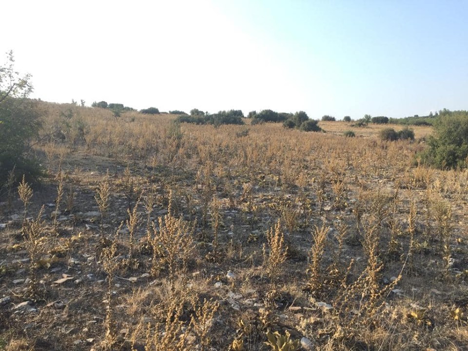 Çal Develler Köyü Resimleri 4