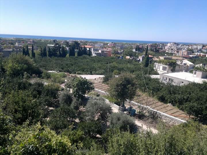 Samandağ Mağaracık Köyü Resimleri 5