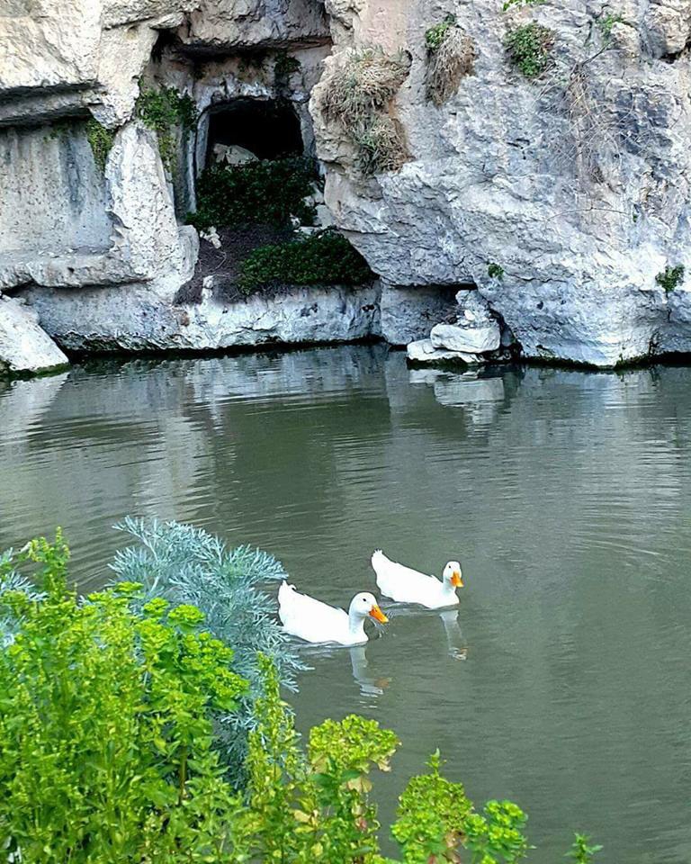 Samandağ Mağaracık Köyü Resimleri 8