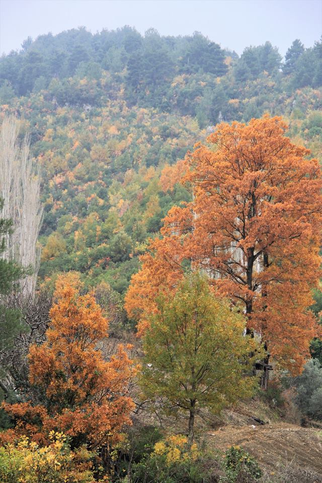 Samandağ Seldiren Köyü Resimleri 2
