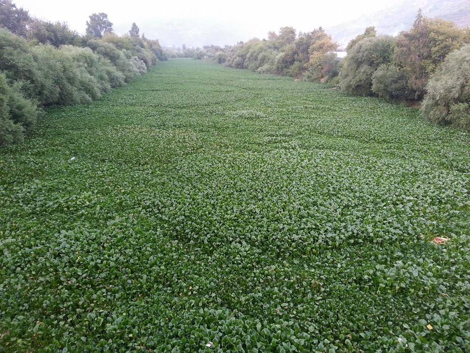 Samandağ Tekebaşı Köyü Resimleri 4