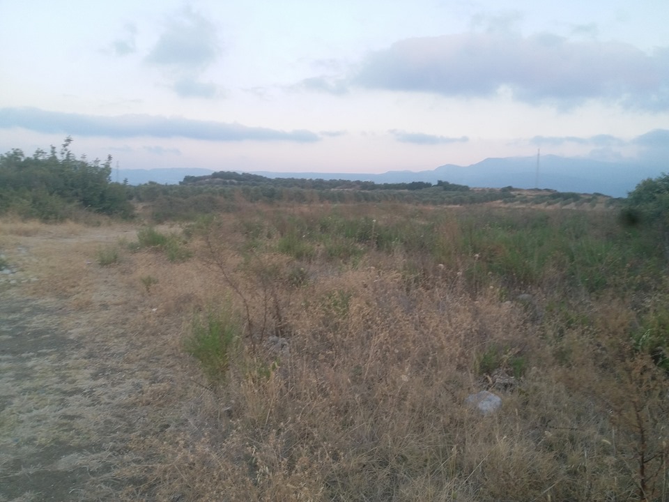 Samandağ Tomruksuyu Köyü Resimleri 1