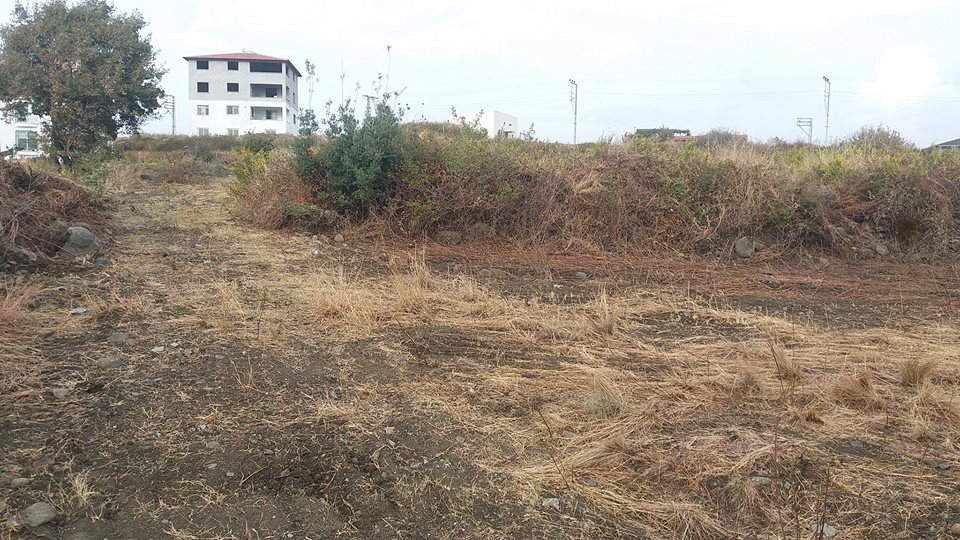 Samandağ Tomruksuyu Köyü Resimleri 3