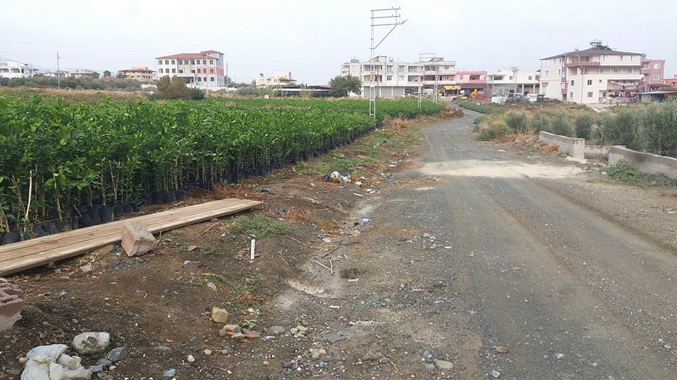 Samandağ Tomruksuyu Köyü Resimleri 4