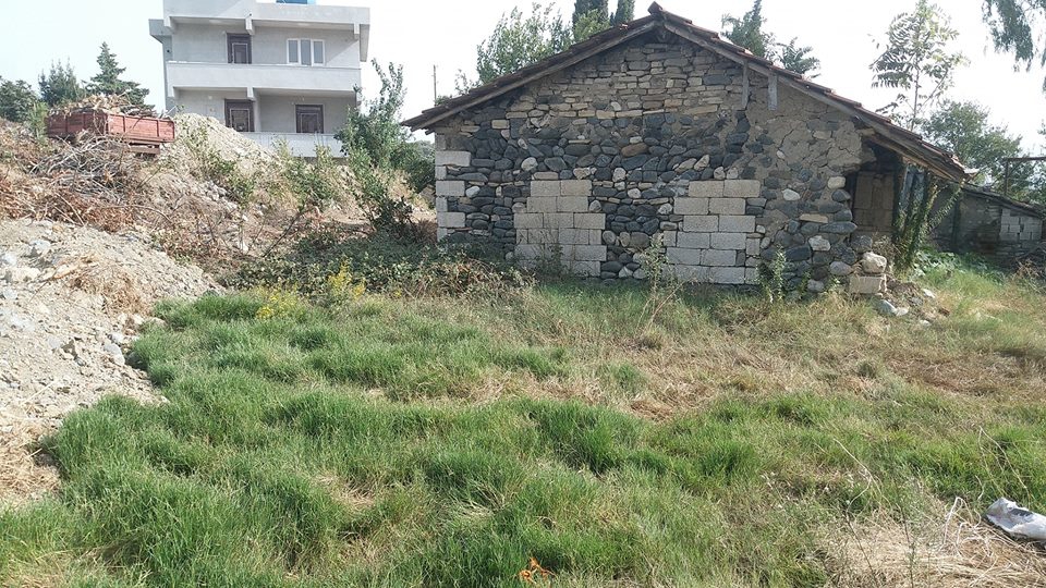 Samandağ Tomruksuyu Köyü Resimleri 6