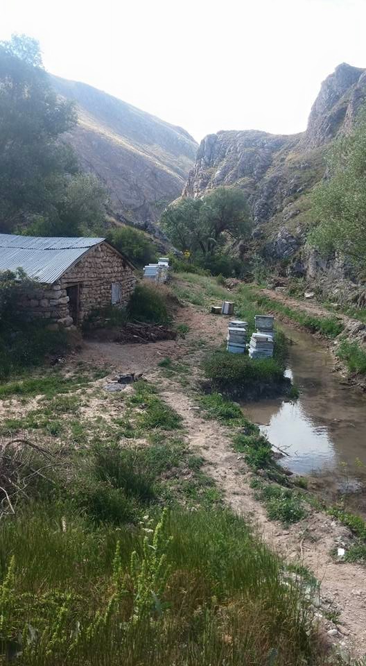 Gürün Güllübucak Köyü Resimleri 12