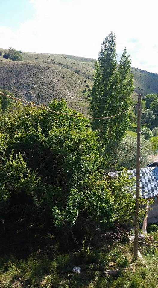 Gürün Güllübucak Köyü Resimleri 22