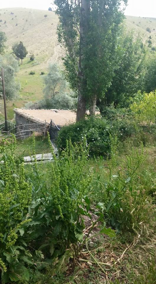 Gürün Güllübucak Köyü Resimleri 28
