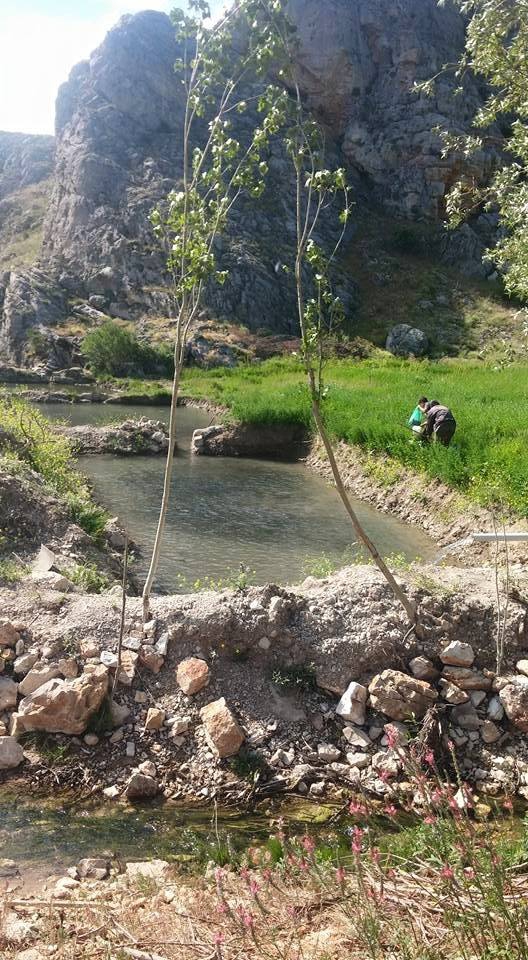 Gürün Güllübucak Köyü Resimleri 29