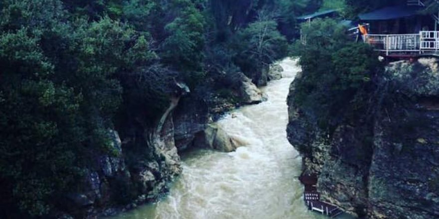 samandag yaylica koyu