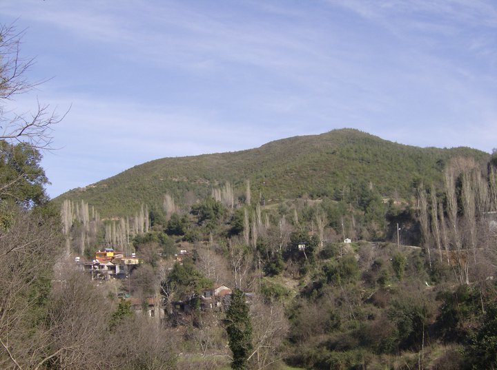 Samandağ Yeniköy Köyü Resimleri 1