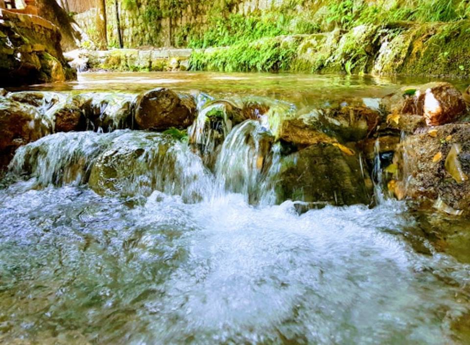 Samandağ Yeşilköy Köyü Resimleri 4