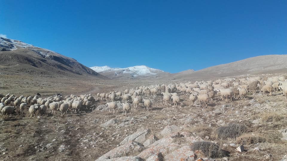 Gürün Güneş Köyü Resimleri 10