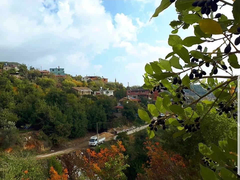 Samandağ Yoğunoluk Köyü Resimleri 4