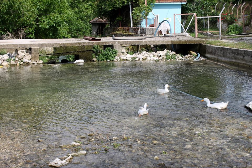 Yayladağı Arslanyazı Köyü Resimleri 7