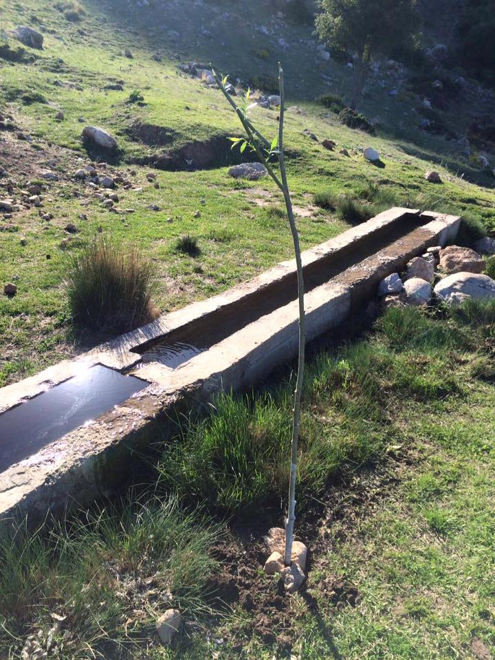 Çal İsmailler Köyü Resimleri 1